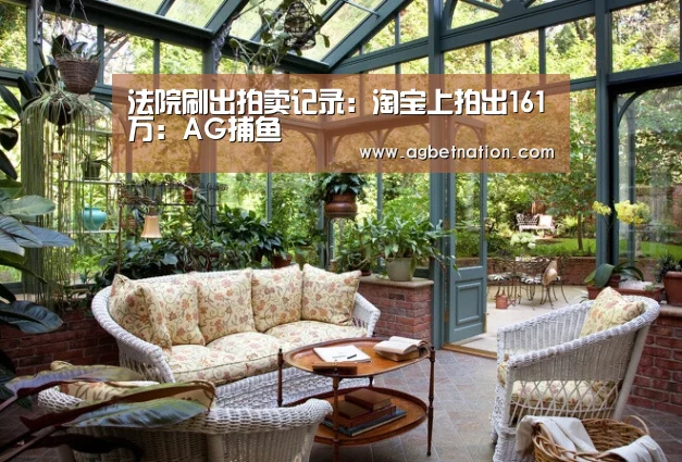 法院刷出拍卖记录:淘宝上拍出161万:AG捕鱼(图1) AG赛事