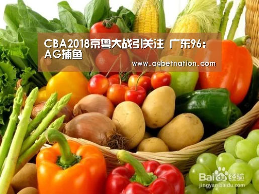CBA2018京粤大战引关注 广东96:AG捕鱼(图1) AG体育